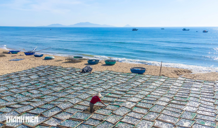 Sắc màu ở chợ cá Bình Minh ảnh 5