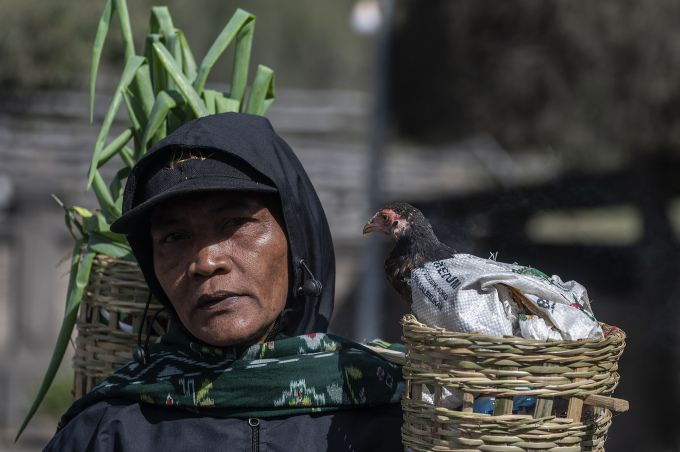 Người đàn ông mang theo lễ vật đến núi lửa Bromo hôm 5/6. Ảnh: AFP