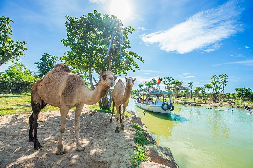 Du khảo thiên nhiên hoang dã trên sông tại River Safari