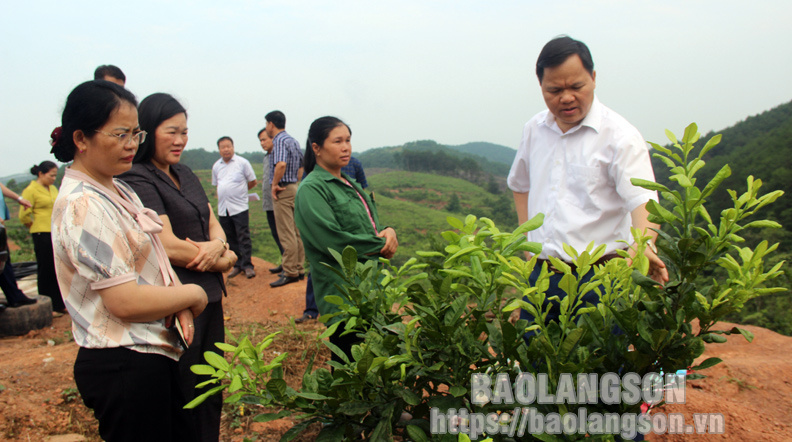 70 vận động viên tranh tài tại Giải đua mô-tô địa hình tỉnh Lai Châu ảnh 3