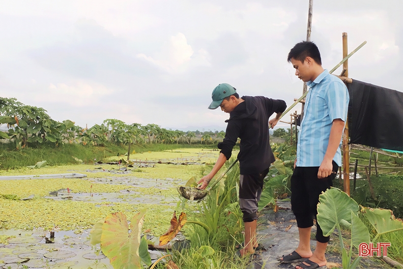 Nông dân Hà Tĩnh biến đất hoang thành các mô hình kinh tế hiệu quả