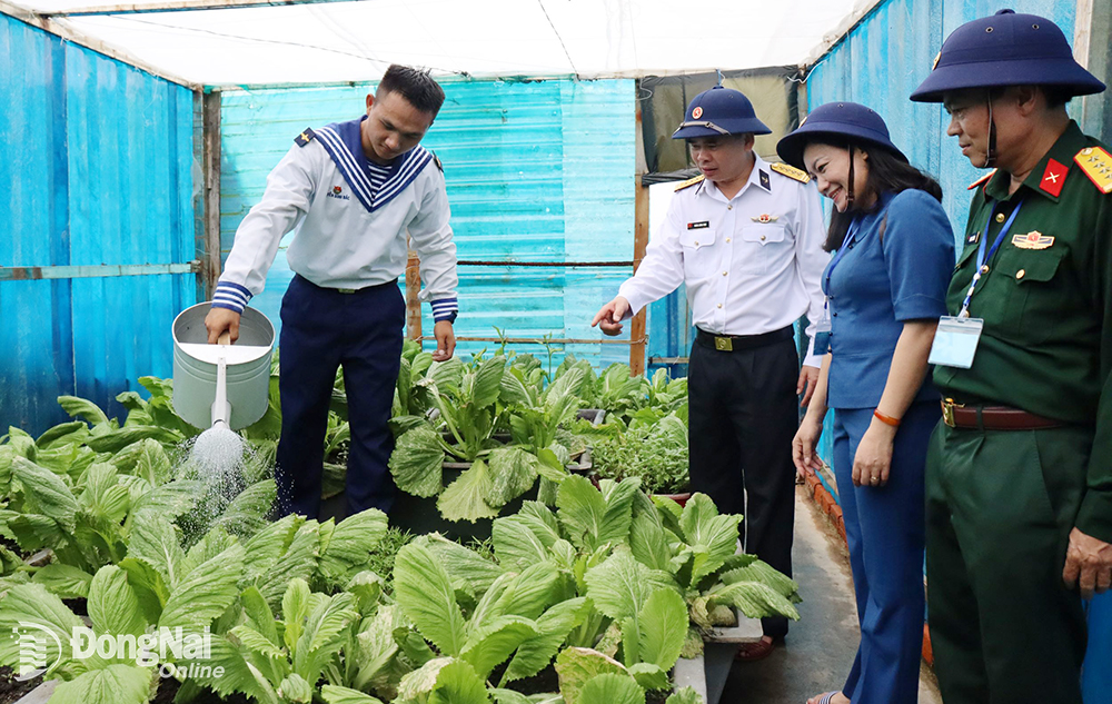 Dù bão táp phong ba, cán bộ, chiến sĩ đảo Đá Thị vẫn trồng được rau xanh