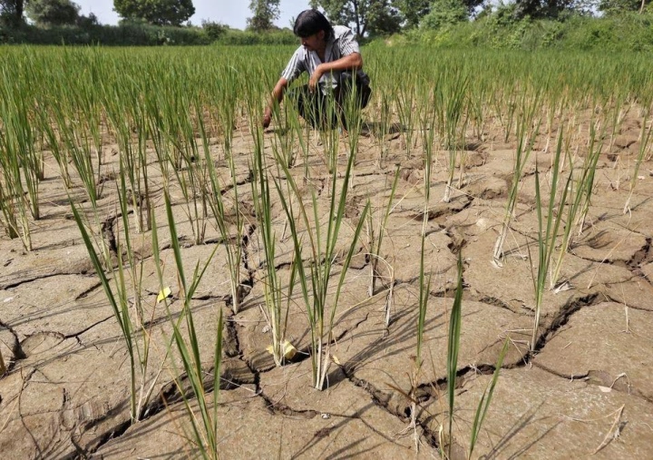 El Nino đã tới - 2