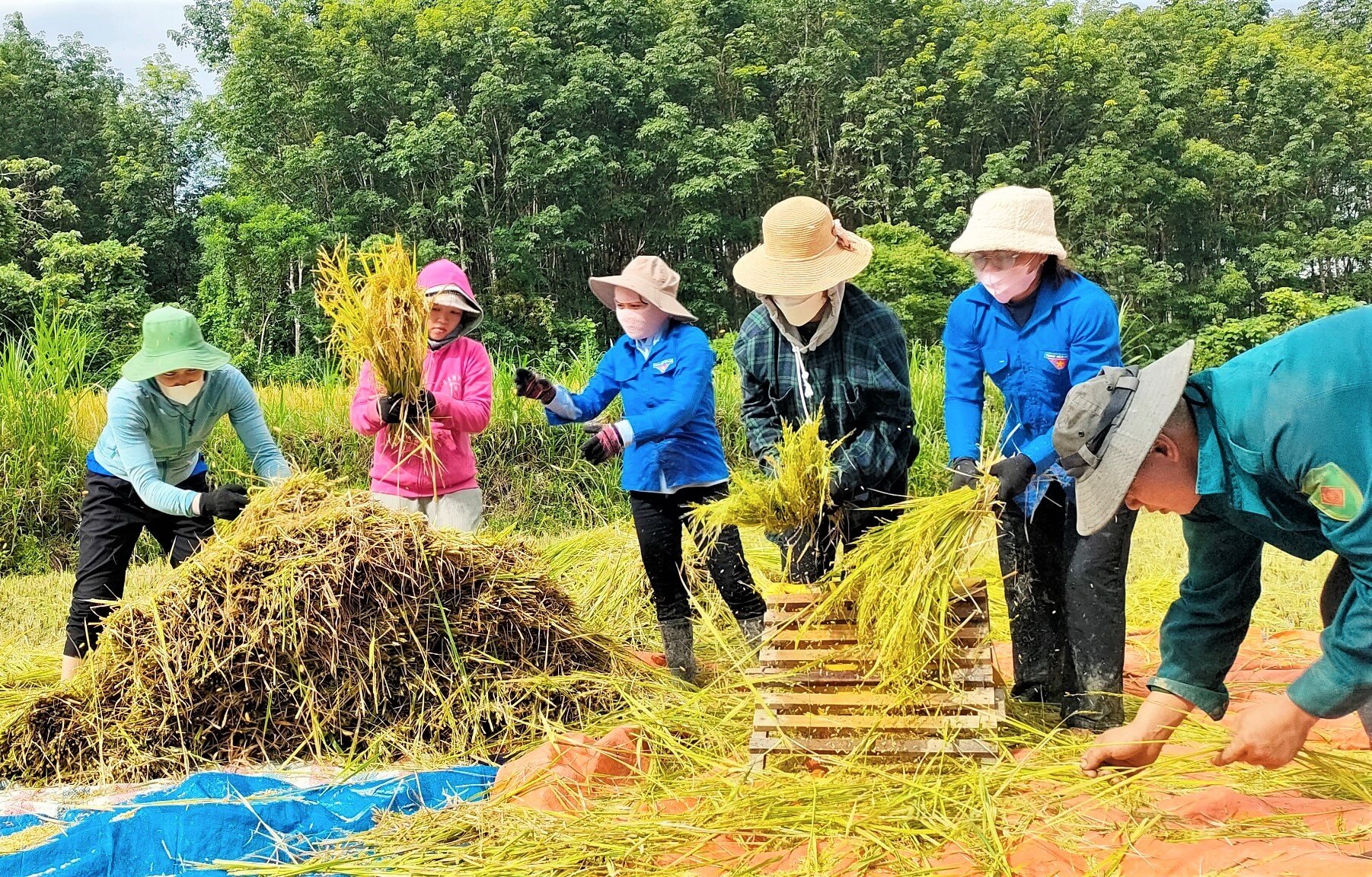 Mỗi người một công việc, cùng nhau góp sức giúp dân.  Ảnh: Đ.N