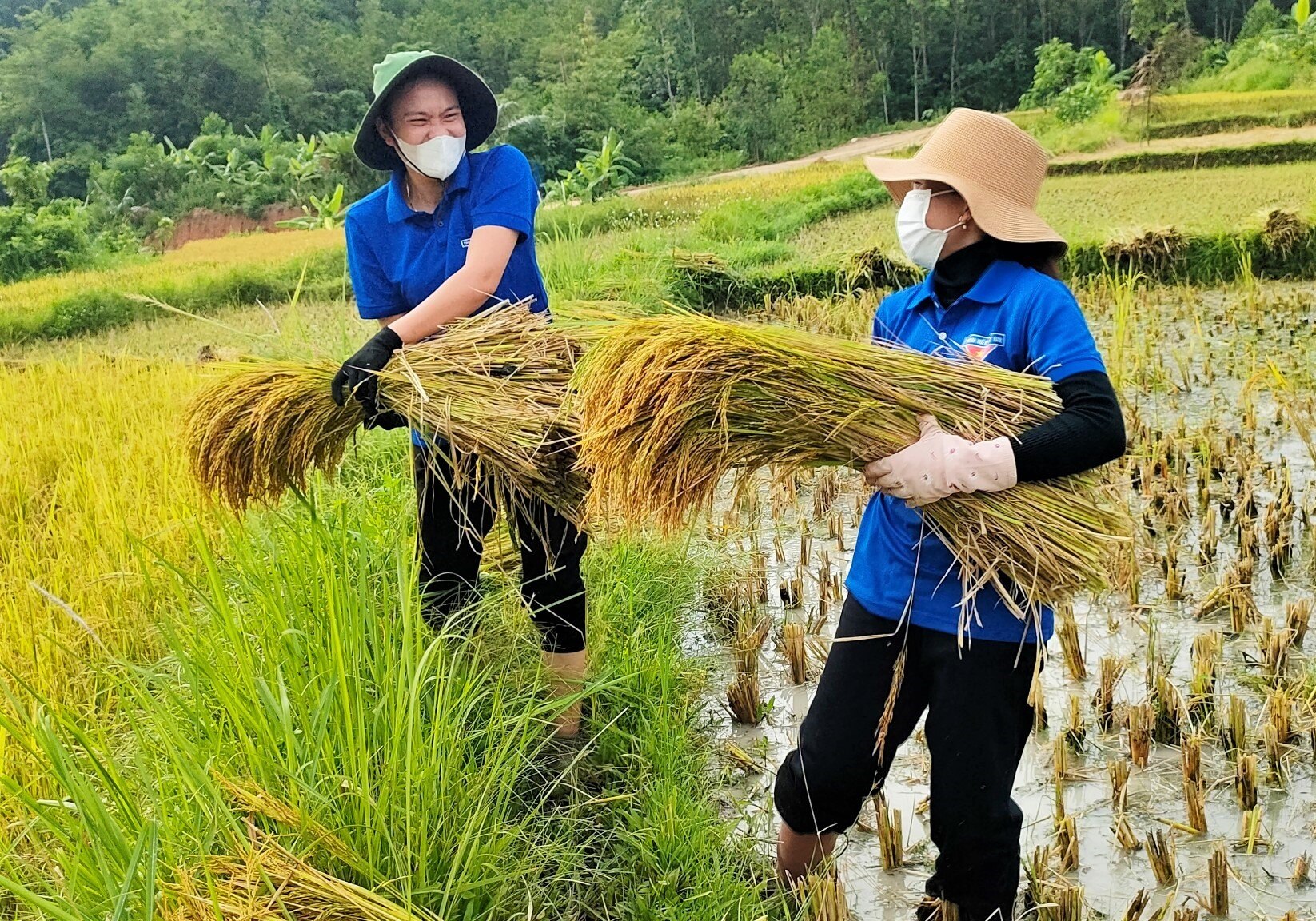 Các thanh niên động viên nhau hoàn thành tốt nhiệm vụ giúp dân.  Ảnh: Đ.N