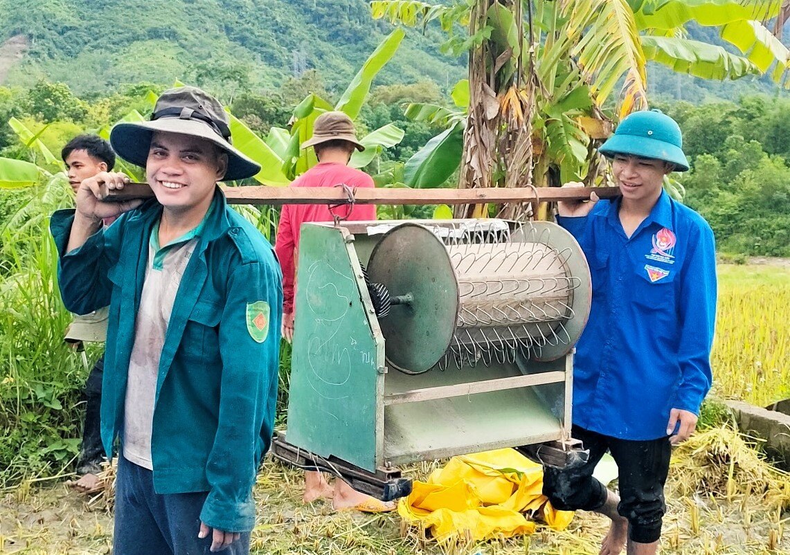 Để thu hoạch lúa, các bạn trẻ phải khiêng máy tuốt lúa đến vị trí từng đám ruộng.  Ảnh: Đ.N