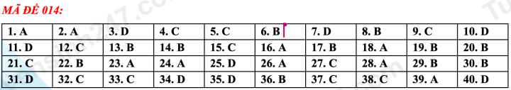 Gợi ý đáp án đề thi tiếng Anh vào lớp 10 Hà Nội mã đề 014 - 1