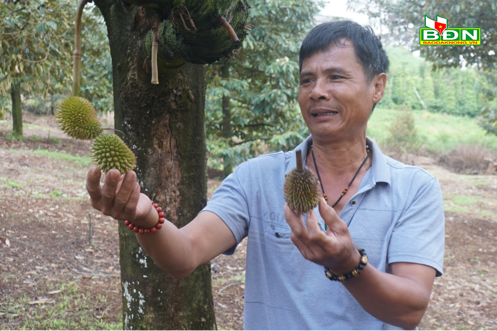 nong-nghiep-dak-nong-chuyen-minh-theo-huong-huu-co(1).png