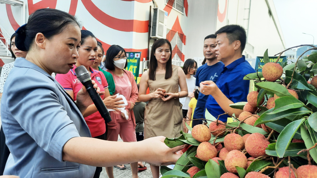 Bà Lương Thị Kiểm, Phó Giám đốc Sở NN&PTNT tỉnh Hải Dương khẳng định quả vải Thanh Hà đạt chất lượng tốt, đã có thương hiệu trên thị trường.