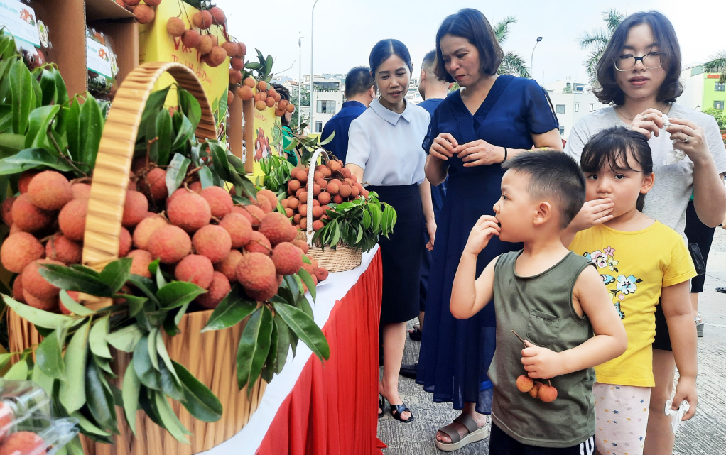 Buổi trưng bày, giới thiệu và bán sản phẩm vải Thanh Hà thu hút người dân thưởng thức, mua sản phẩm.