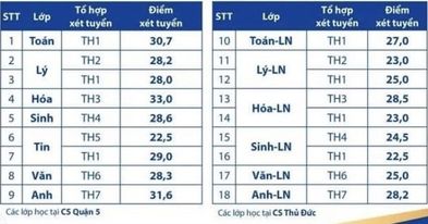 Trường Phổ thông Năng khiếu ĐH Quốc giaTP.HCM công bố điểm chuẩn lớp 10 - Ảnh 2.