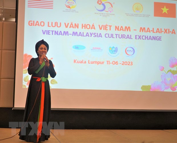 An tuong giao luu van hoa nghe thuat truyen thong Viet Nam-Malaysia hinh anh 3