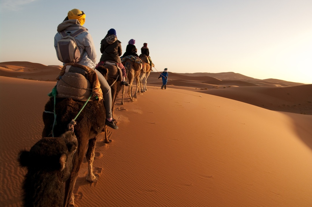 Những sự thật thú vị về sa mạc Sahara