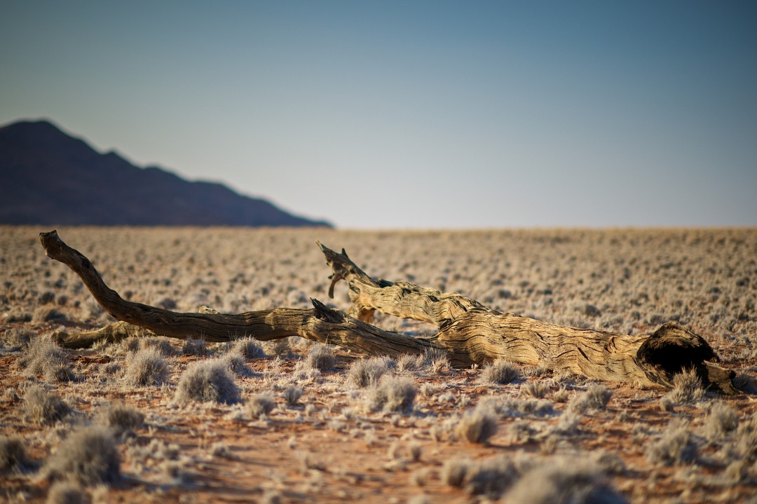 Những sự thật thú vị về sa mạc Sahara