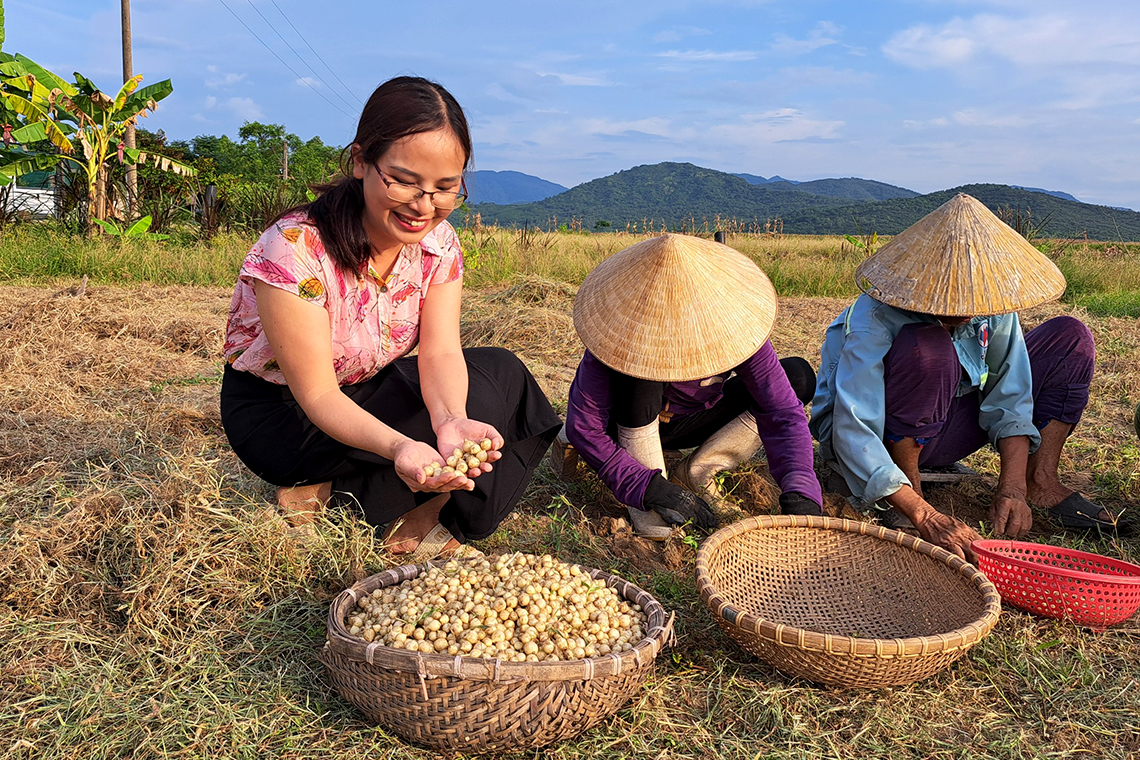 Hành tăm Nghi Xuân được mùa, giá tăng gần gấp đôi