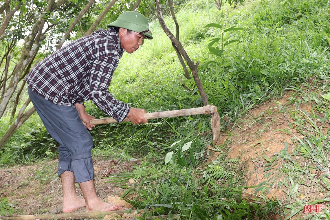 Nông dân Vũ Quang đào ao tích nước chống hạn cho cam