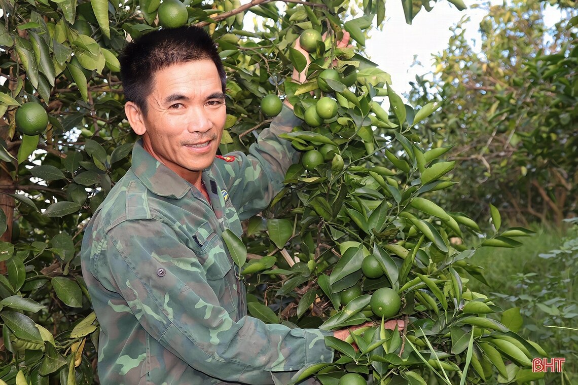 Nông dân Vũ Quang đào ao tích nước chống hạn cho cam