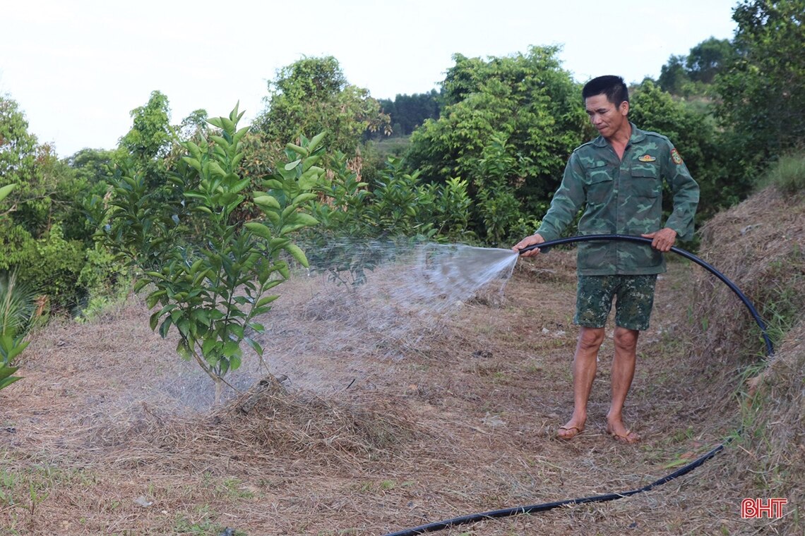 Nông dân Vũ Quang đào ao tích nước chống hạn cho cam