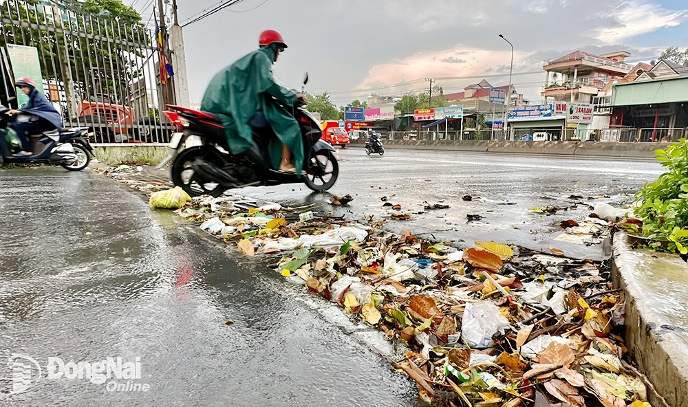 Rác, lá cây che kín miệng cống thoát nước cuối đường 518 (gần khu vực Bệnh viện Nhi đồng Đồng Nai, TP.Biên Hòa) chiều 22-5