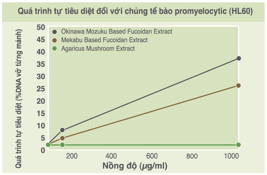 Biểu đồ mức độ ảnh hưởng của hợp chất Fucoidan chiết xuất từ tảo nâu mozuku, mekabu và sợi nấm agaricus lên quá trình apoptosis. Ảnh: Viện nghiên cứu Fucoidan NPO tại Nhật