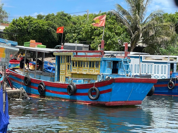 CÔN ĐỒ LỘNG HÀNH Ở VỊNH VÂN PHONG (*): Tiếng ngư dân, ai thấu? - Ảnh 2.