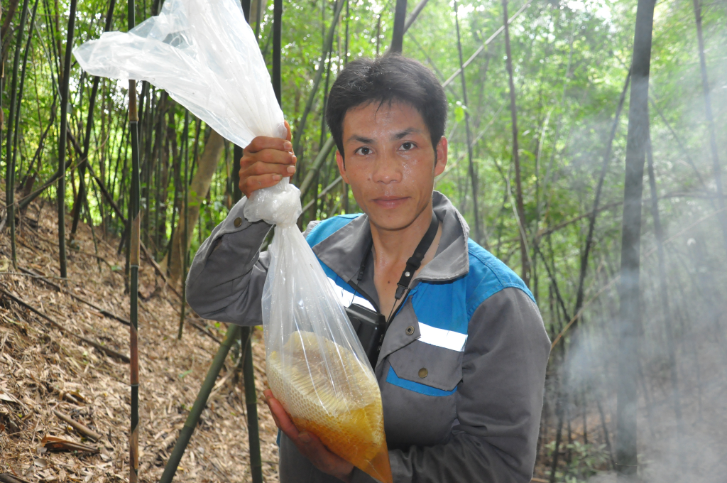 Bầu mật ong khoái vàng óng có vị ngọt thanh mát