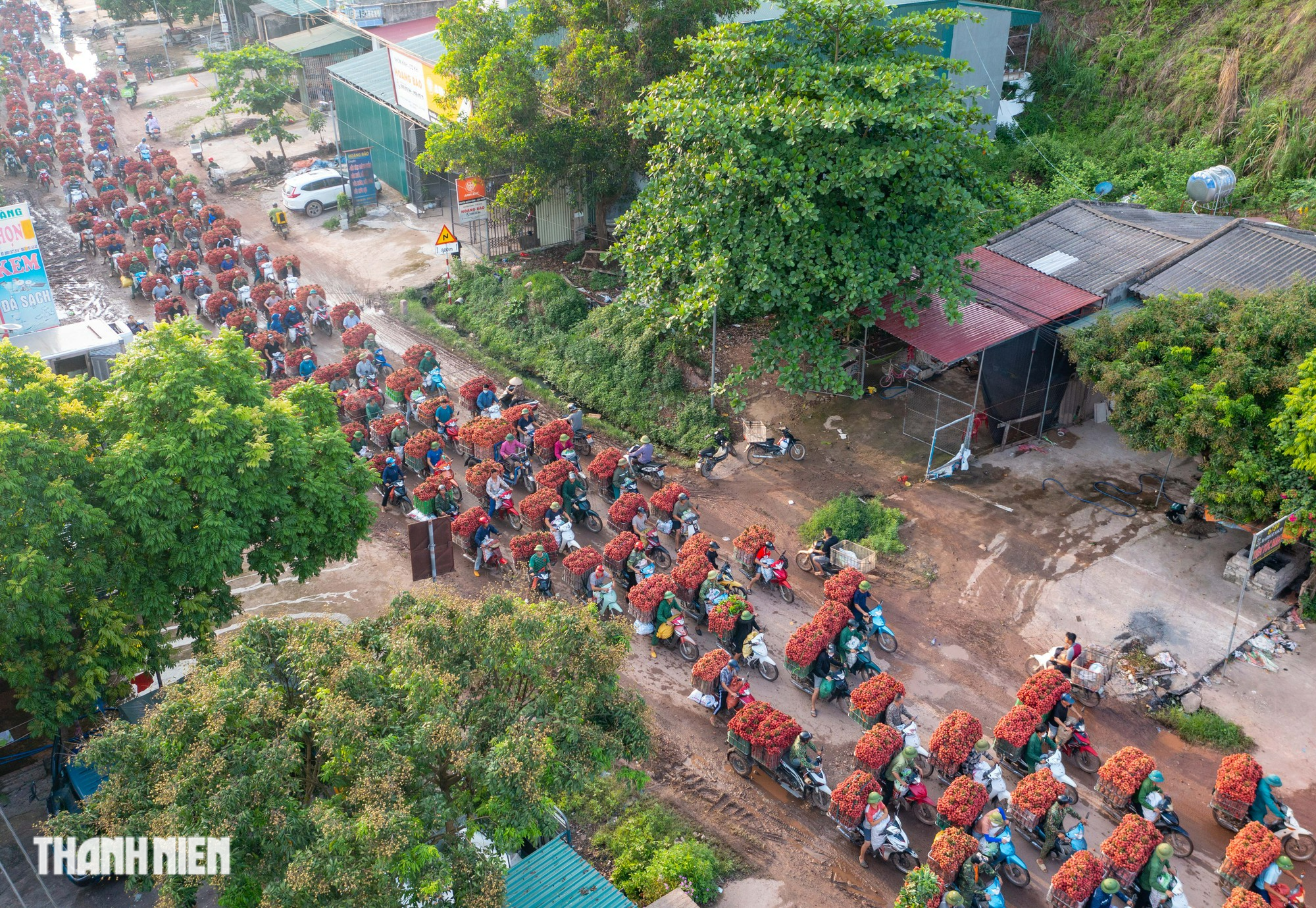 Vải thiều nhuộm đỏ đường quê - Ảnh 4.