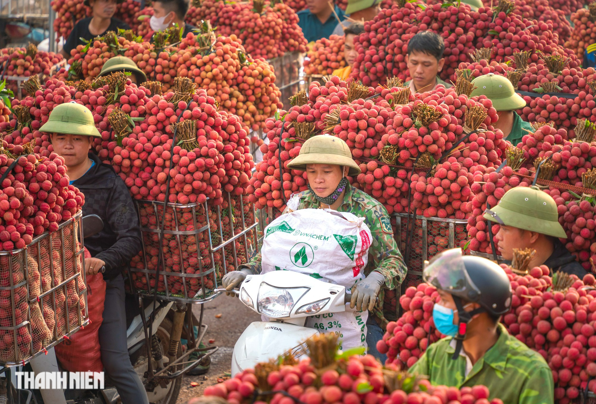 Vải thiều nhuộm đỏ đường quê - Ảnh 12.