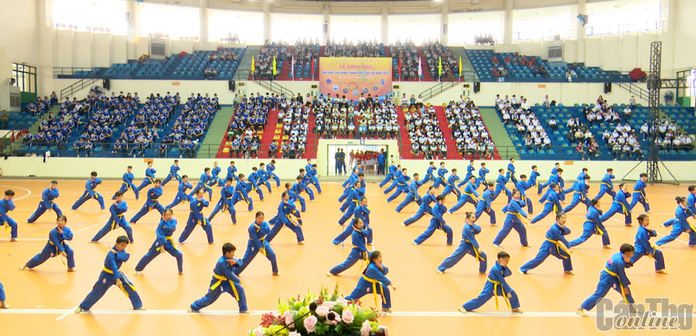 Biểu diễn võ thuật Vovinam.