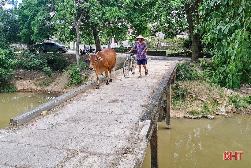 Bất an khi lưu thông trên cây cầu gần 50 tuổi ở Can Lộc