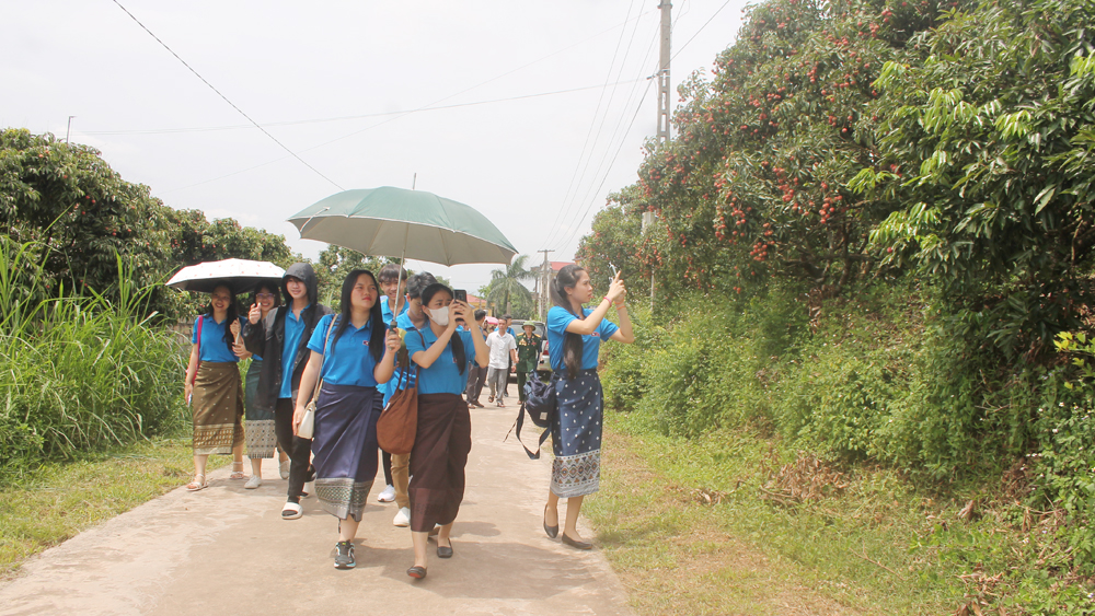 Bắc Giang, chương trình “Ươm mầm hữu nghị” Việt – Lào, Việt Nam, Lào, vải thiều, Vĩnh Nghiêm.