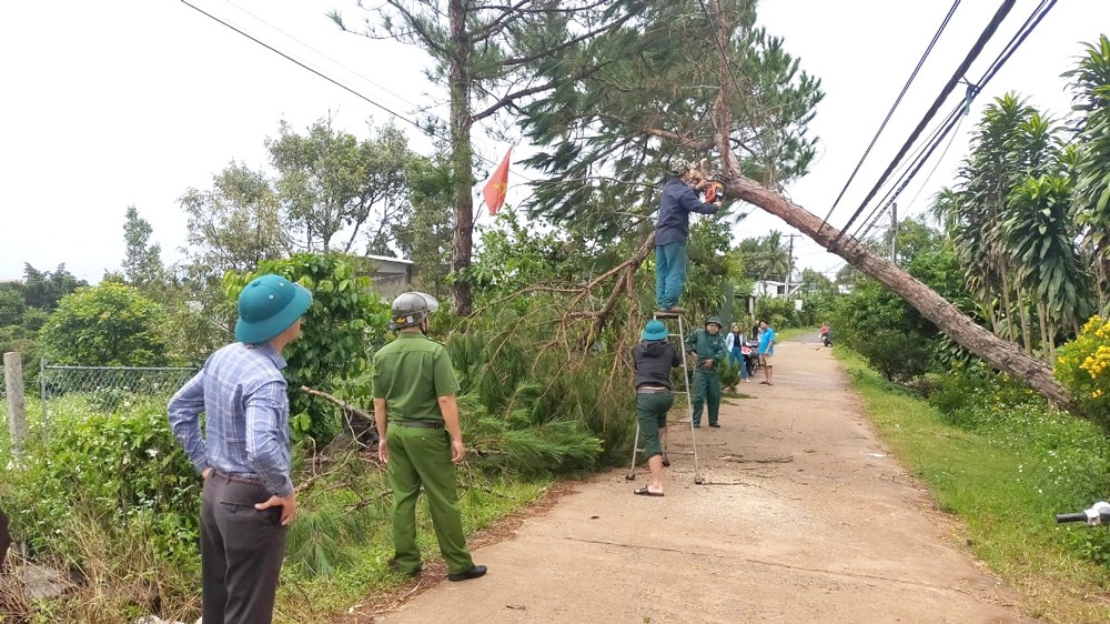 Cây xanh ngã đổ vào đường điện hạ thế