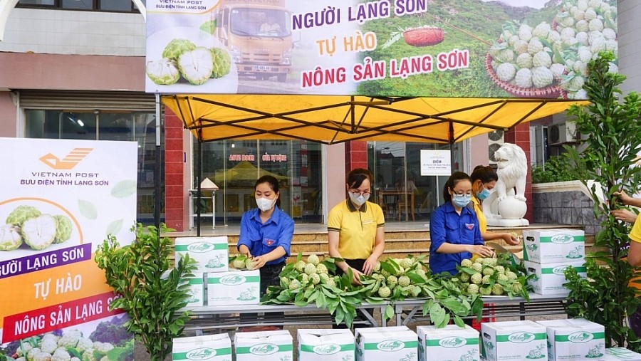 Tỉnh Lạng Sơn: Đẩy mạnh phát triển thương mại điện tử, tìm đầu ra cho nông sản