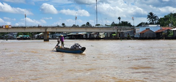 Mai một chợ nổi Cái Bè ảnh 2