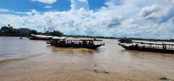 Mai một chợ nổi Cái Bè ảnh 3