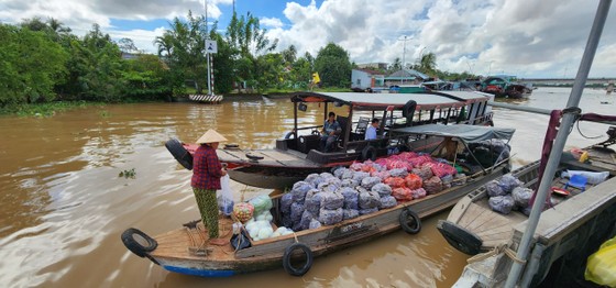 Mai một chợ nổi Cái Bè ảnh 4