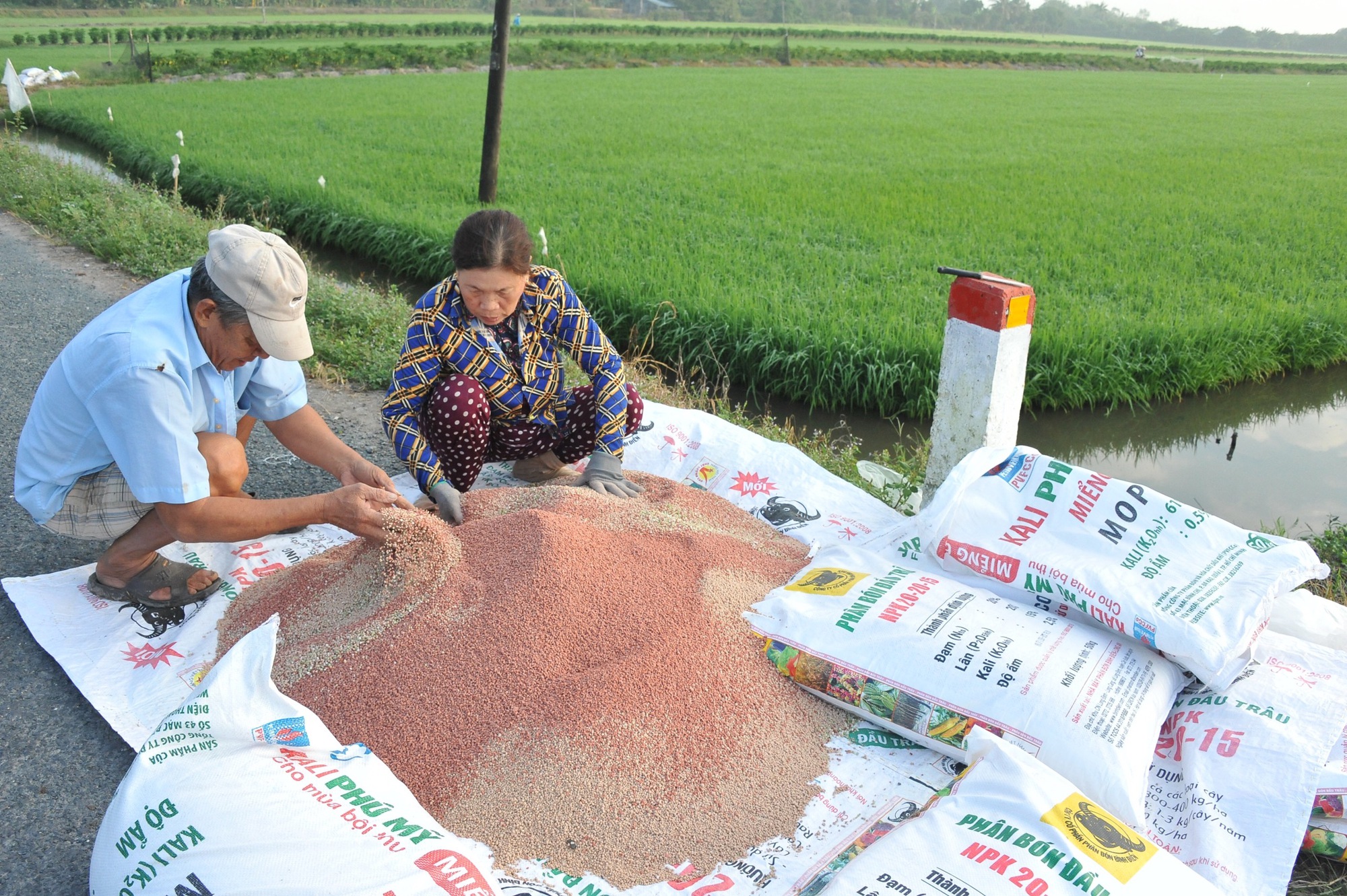 Đề xuất áp thuế VAT với phân bón: Doanh nghiệp được lợi nhưng nông dân gặp khó? - Ảnh 2.