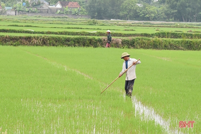 Tạo đột phá cho đồng ruộng Lộc Hà