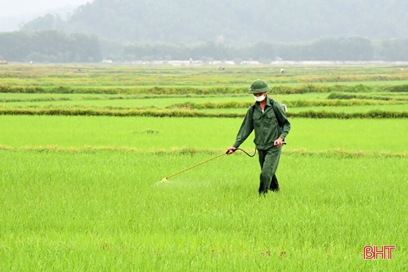 Tạo đột phá cho đồng ruộng Lộc Hà