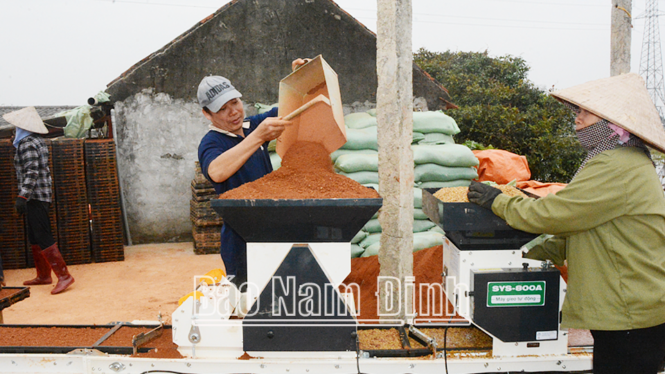 Tham gia chuỗi liên kết sản xuất, nông dân xã Liên Bảo (Vụ Bản) mạnh dạn đầu tư dây chuyền máy cấy - mạ khay thay thế gieo sạ.