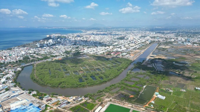 Sông Bến Lội chảy uốn lượn qua rừng ngập mặn Phan Thiết. Ảnh: Việt Quốc