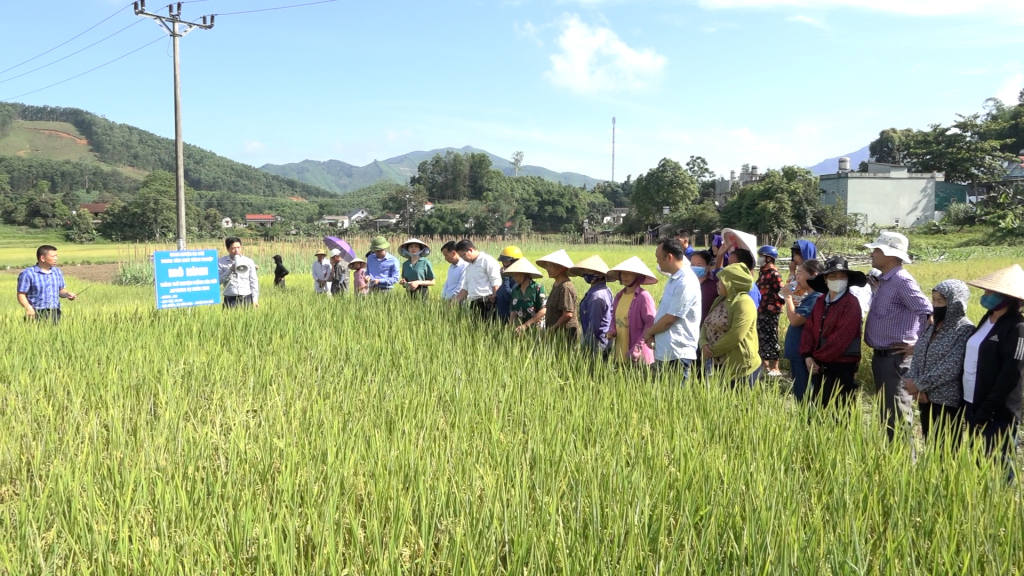 Các đại biểu và bà con nông dân thăm quan mô hình.