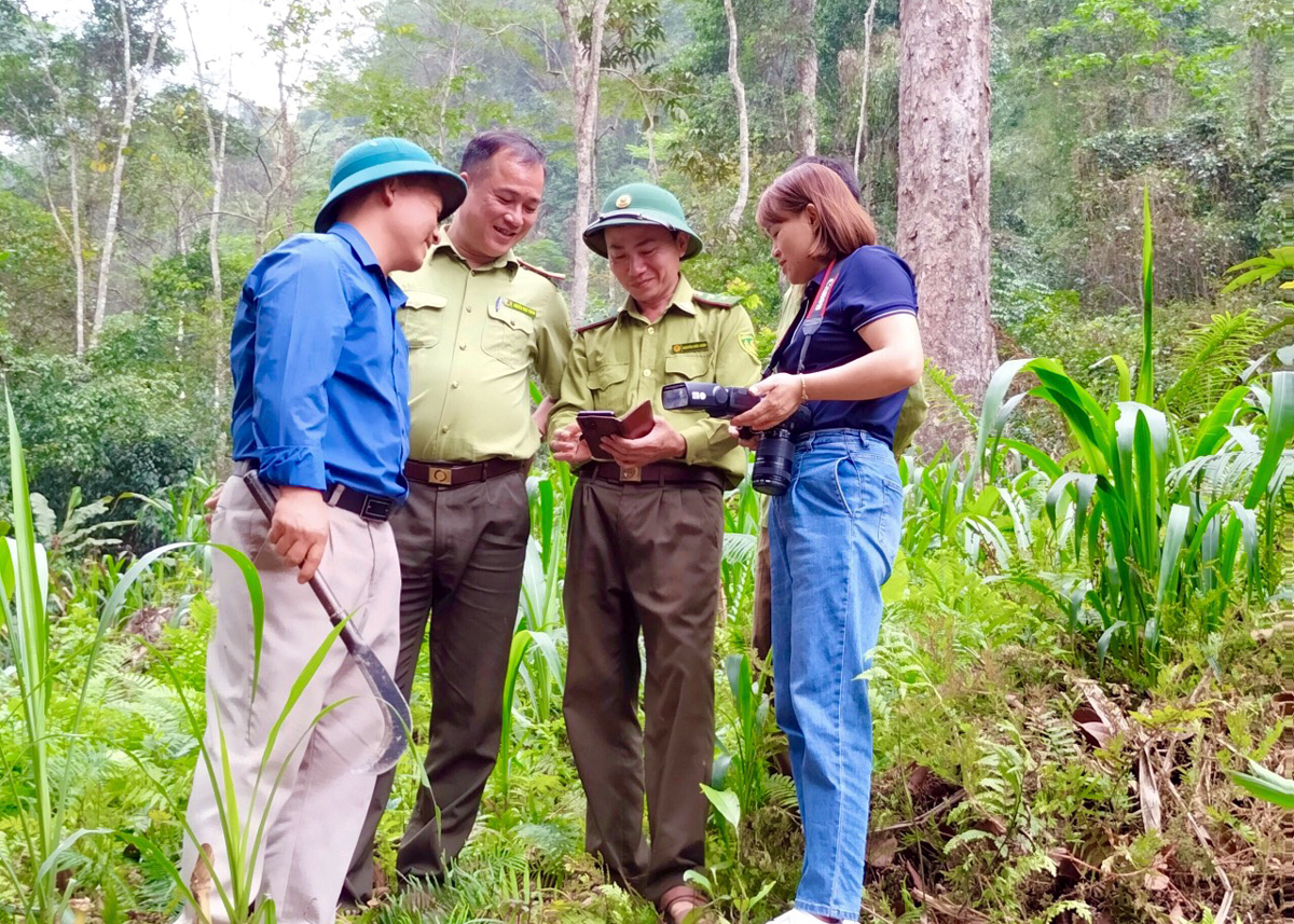 Phóng viên Báo Hà Giang tác nghiệp tại rừng đặc dụng Phong Quang - Tây Côn Lĩnh.