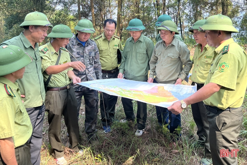 Chủ tịch UBND tỉnh ra công điện tăng cường các biện pháp cấp bách phòng cháy, chữa cháy rừng