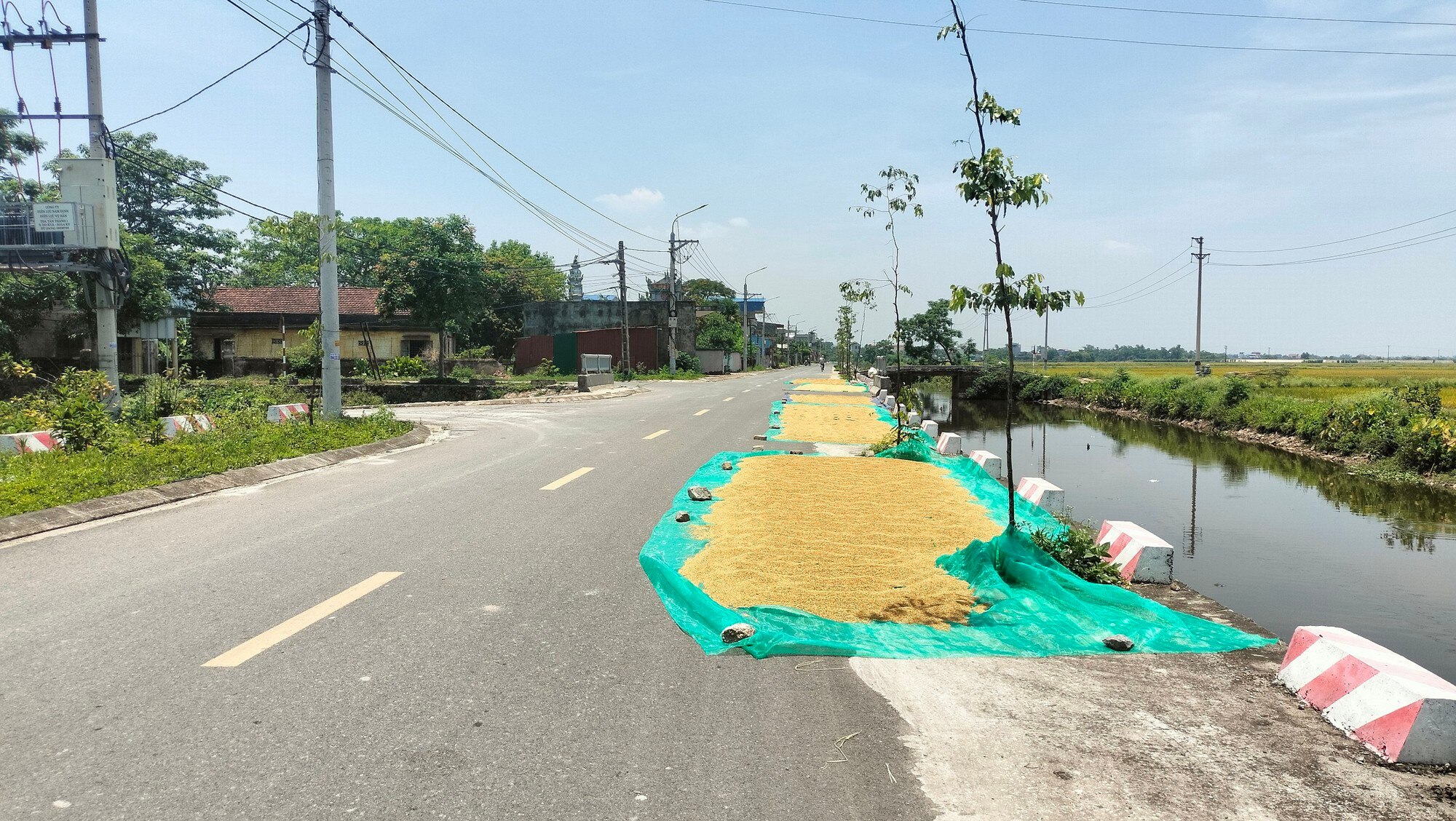 Nam Định: Xử lý hình sự trường hợp phơi thóc trên đường giao thông gây hậu quảnghiêmtrọng - Ảnh 1.