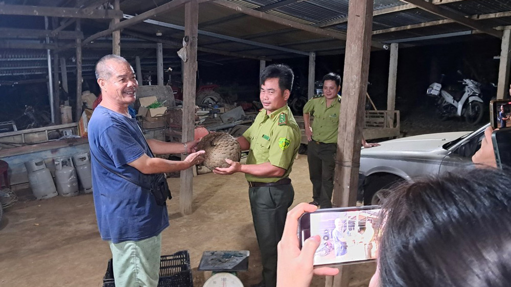 Ông Nguyễn Văn Chính bàn giao cá thể tê tê quý hiếm cho Hạt Kiểm lâm huyện Đạ Tẻh sau khi phát hiện trong vườn nhà