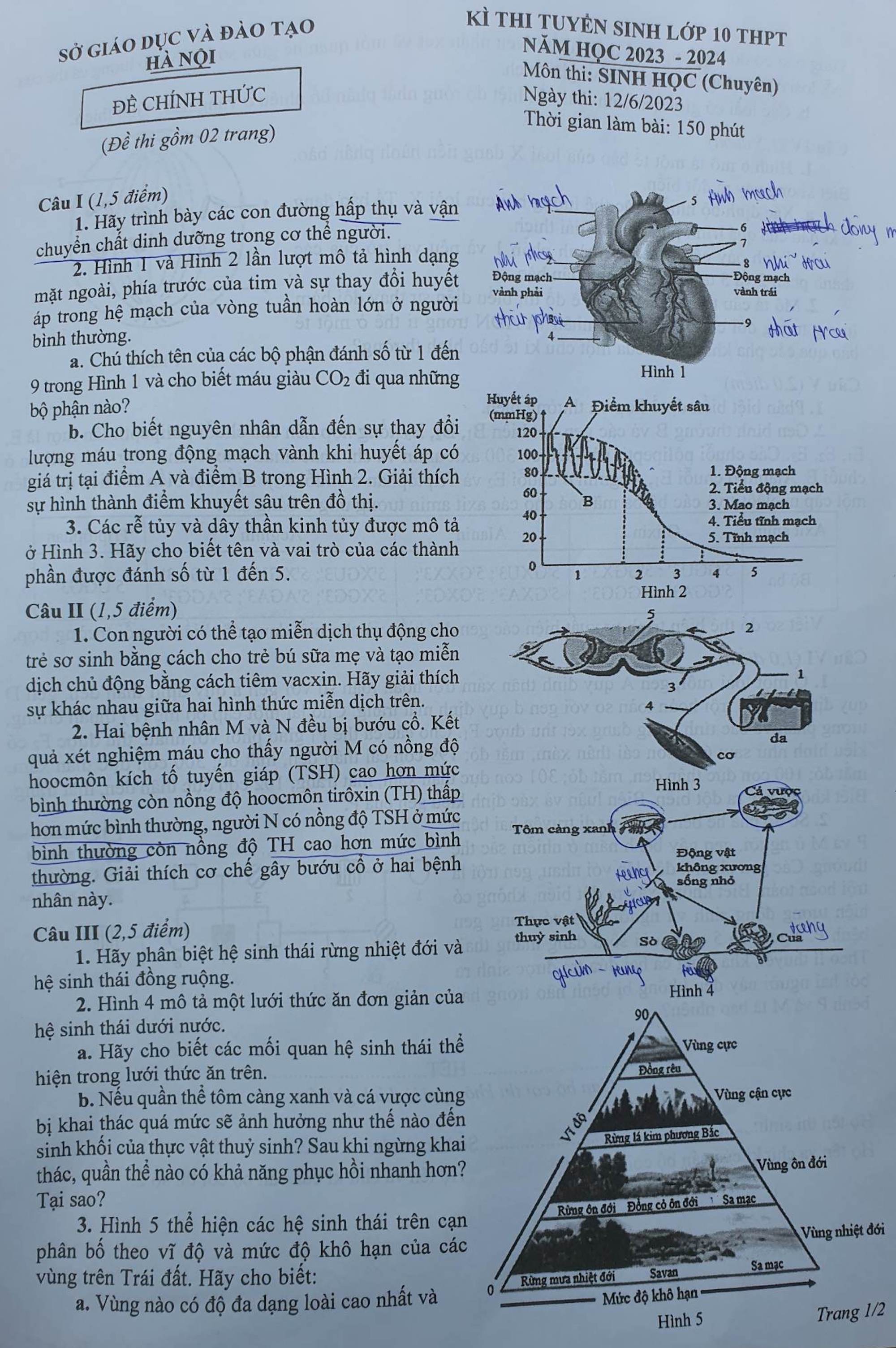 Đề thi chuyên Sinh lớp 10 Hà Nội năm 2023 - 1