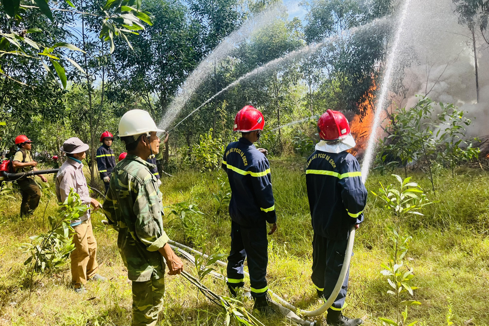 Các lực lượng tham gia diễn tập.