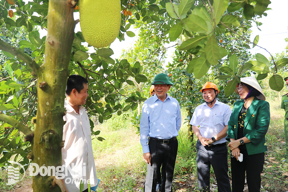 Ủy viên Trung ương Đảng, Bí thư Tỉnh ủy Nguyễn Hồng Lĩnh (thứ ba từ phải sang) và lãnh đạo UBND tỉnh, Huyện ủy Thống Nhất tham quan mô hình sản xuất, kinh doanh giỏi của người dân. Ảnh: Phương Hằng