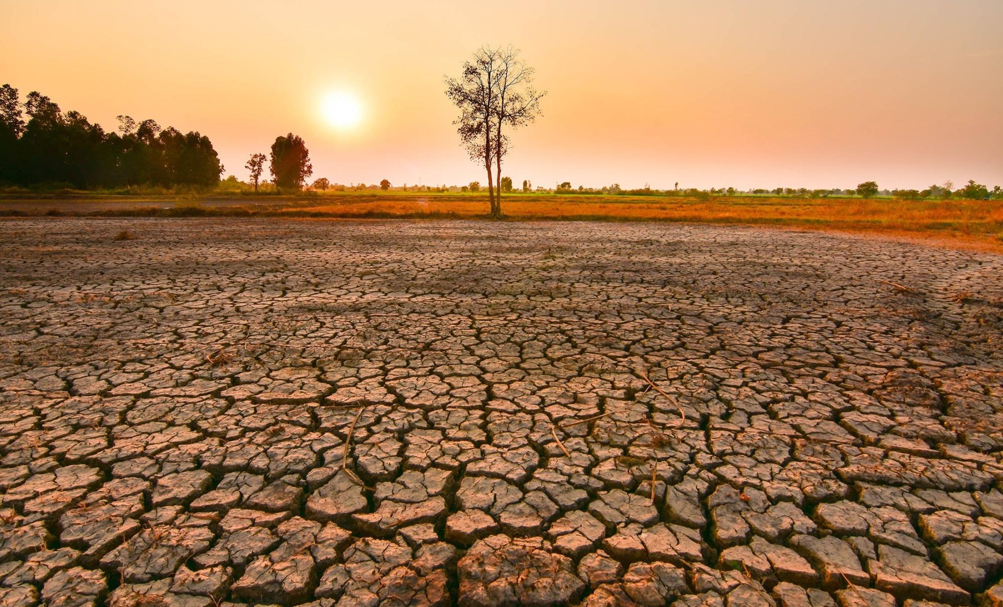 el nino se tac dong den thoi tiet nhu the nao trong nhung nam toi hinh 1